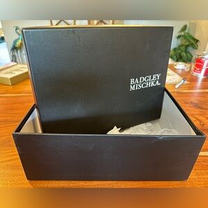 Badgley Mischka shoe box